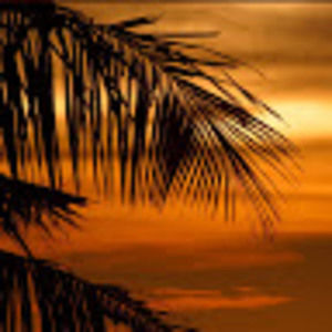 Meet your Posher, Debra m